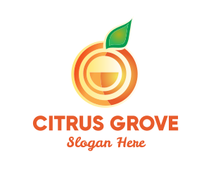 Orange Citrus Fruit logo design