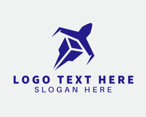 Blue Cargo Plane logo