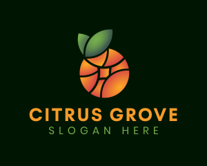 Natural Orange Fruit logo design