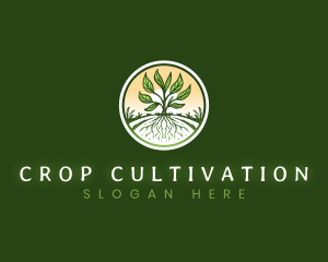 Root Plant Crop logo