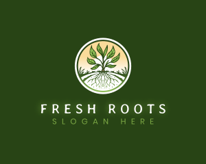 Root Plant Crop logo design