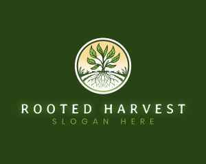 Root Plant Crop logo design