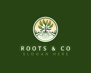 Root Plant Crop logo design