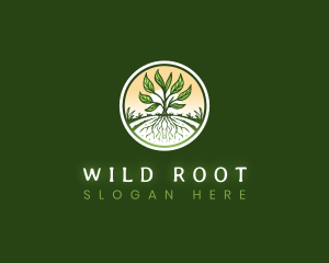 Root Plant Crop logo design