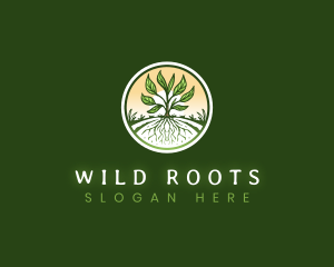 Root Plant Crop logo design