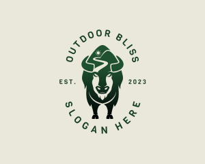 Bison Mountain Valley logo design