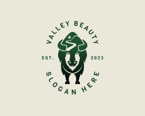 Bison Mountain Valley logo