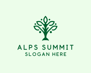 Natural Tree Plant logo design