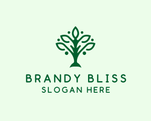 Natural Tree Plant logo design