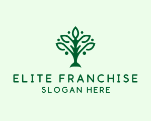 Natural Tree Plant logo design