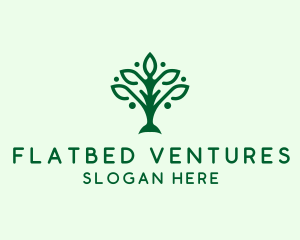 Natural Tree Plant logo design