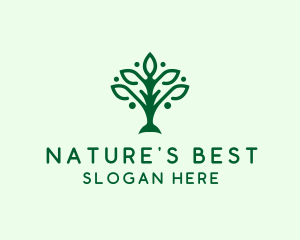 Natural Tree Plant logo design