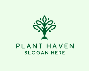 Natural Tree Plant logo design