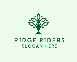 Natural Tree Plant logo design