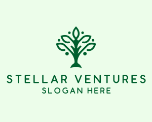 Natural Tree Plant logo design