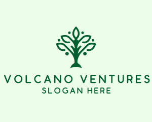 Natural Tree Plant logo design