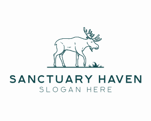 Wild Moose Sanctuary logo design