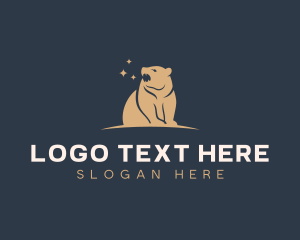 Wild Bear Safari logo