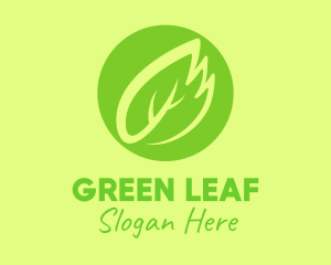 Green Leaf Feather logo design