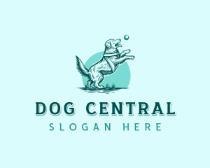 Dog Training Canine logo design