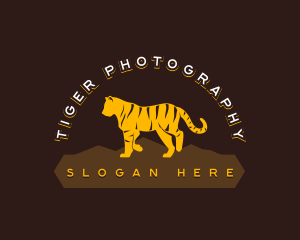 Tiger Feline Wildlife logo