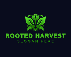 Organic Eco Leaf logo design