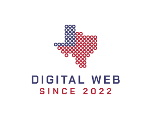 Texas Networking Web logo design