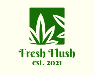 Green Cannabis Herb logo design