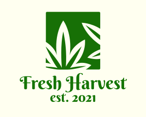 Green Cannabis Herb logo design