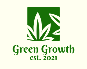 Green Cannabis Herb logo design