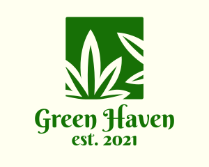 Green Cannabis Herb logo design