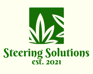 Green Cannabis Herb logo design