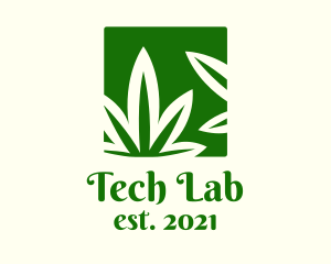 Green Cannabis Herb logo design