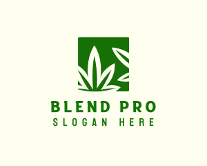 Green Cannabis Herb logo design