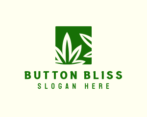 Green Cannabis Herb logo design