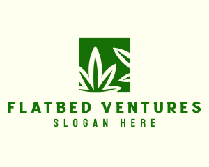 Green Cannabis Herb logo design