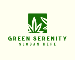 Green Cannabis Herb logo design