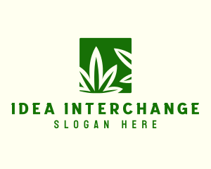 Green Cannabis Herb logo design