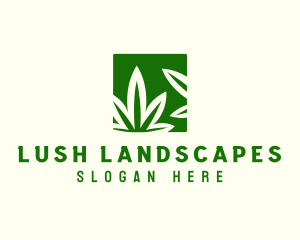 Green Cannabis Herb logo