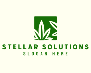 Green Cannabis Herb logo design