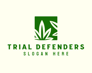 Green Cannabis Herb logo design