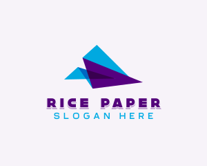 Plane Courier Delivery logo design