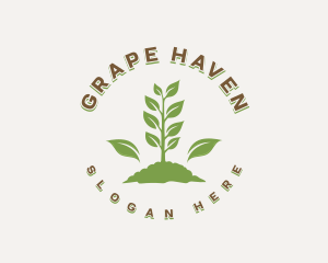 Vineyard Farm Agriculture logo