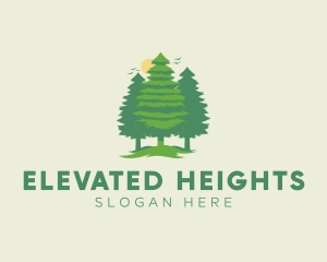 Tall Forest Tree logo design