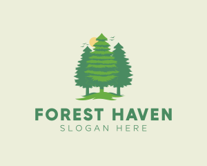 Tall Forest Tree logo design