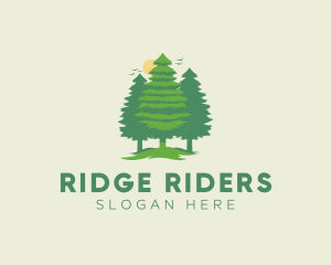 Tall Forest Tree logo design