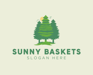 Tall Forest Tree logo design