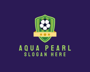 Soccer Ball Team Crest logo design