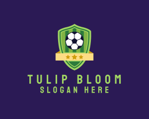 Soccer Ball Team Crest logo design