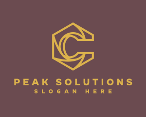 Professional Startup Company logo
